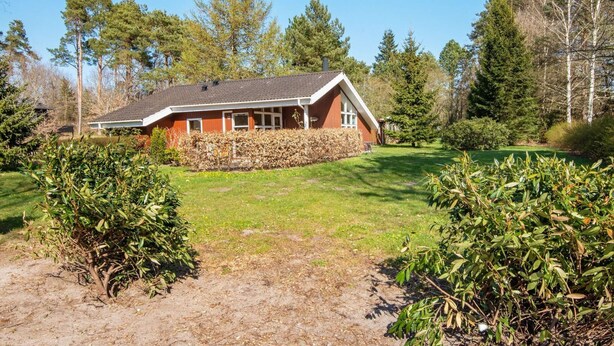 House | View from property - Holiday Home in Ebeltoft (Ebeltoft)