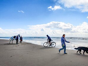 A beach with people, a horse, a bicycle, and a dog.