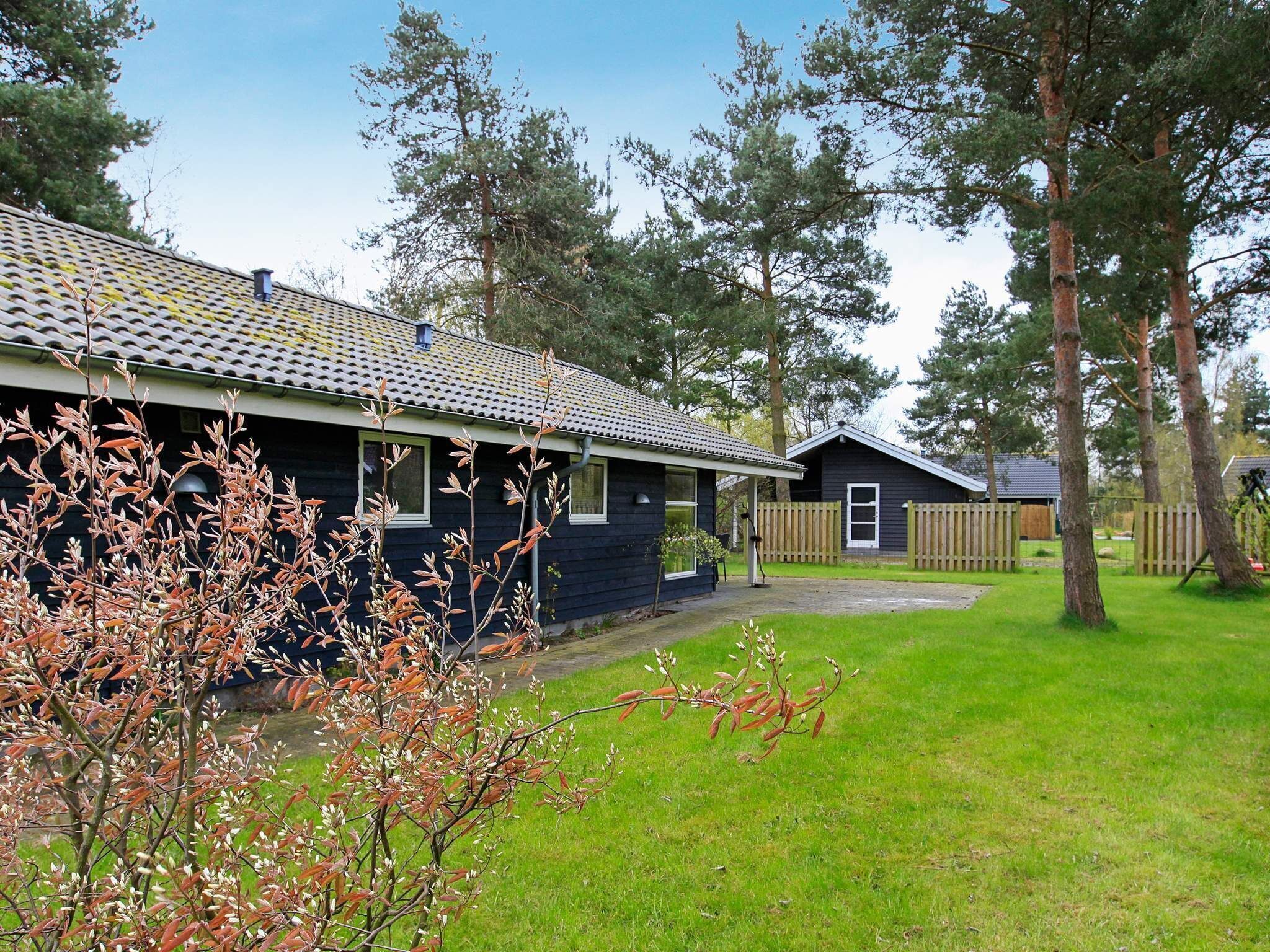 Eksteriør