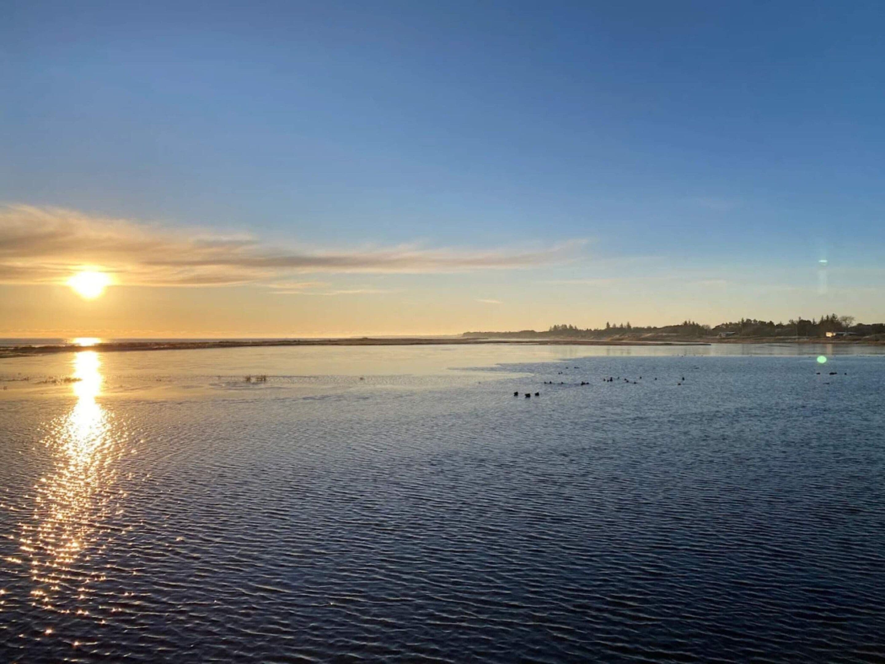 A calm body of water reflecting the sun, with a distant shoreline and a clear sky.