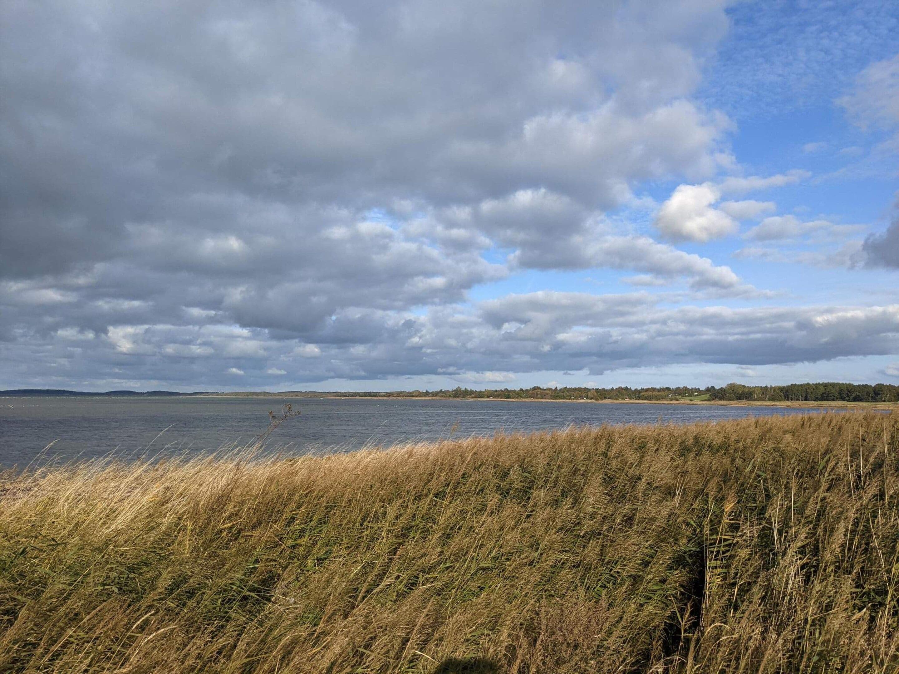 Un paysage côtier avec une étendue d’eau, des zones herbeuses et un ciel nuageux.
