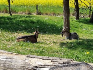 Casa | Imagen general