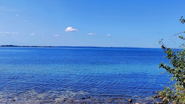 A clear view of a calm sea with a distant shoreline, a few clouds in the sky, and some vegetation in the foreground. - 5 Person Holiday Home in Jaegerspris (Jægerspris)