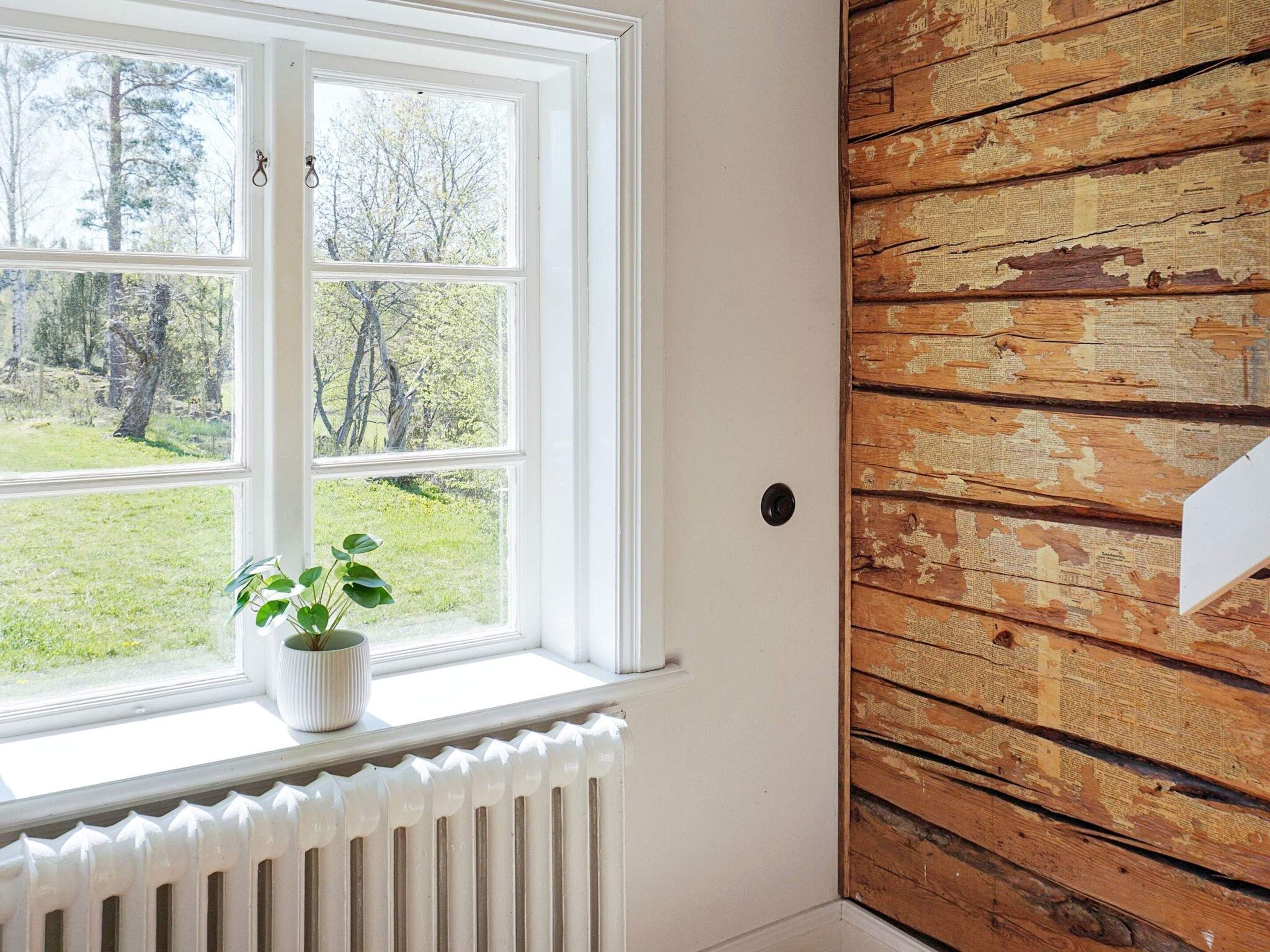 Une pièce avec un radiateur blanc, une fenêtre donnant sur des arbres et un mur en bois dont la peinture s’écaille.