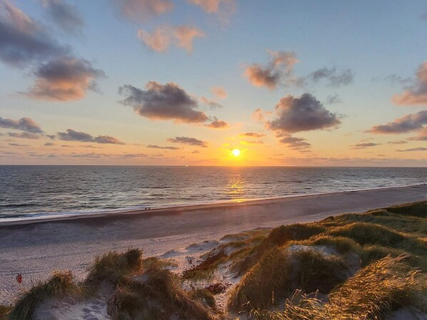 A beach with the sun setting over the horizon, a sandy shore, and grassy dunes.