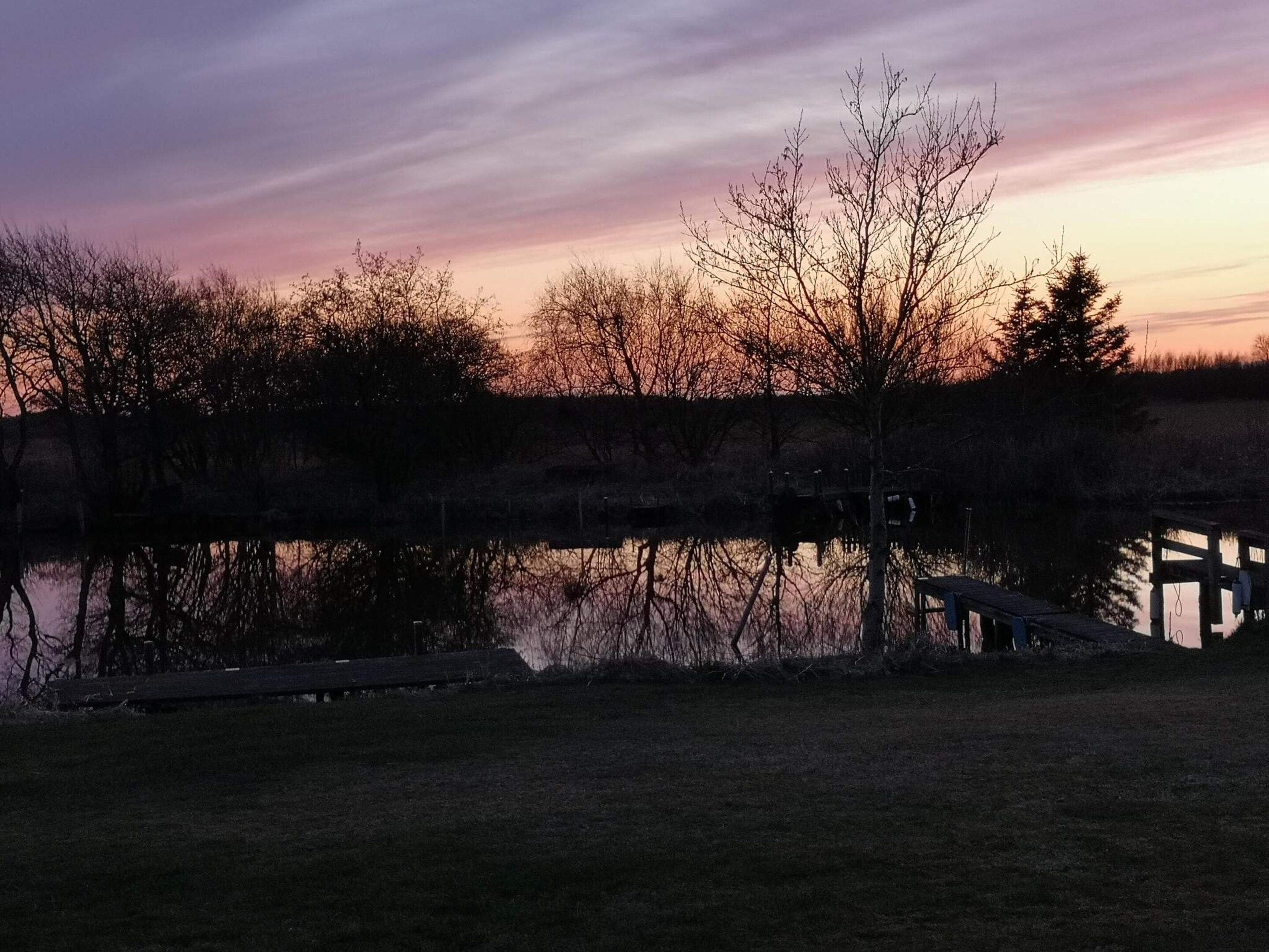 Eine friedliche Seenlandschaft mit einem hölzernen Steg, der ins Wasser führt, umgeben von Bäumen und blauem Himmel.