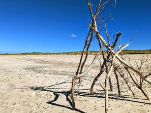 A sandy beach with sparse vegetation and a clear blue sky. - 4 Star Holiday Home in Norre Nebel (Norre Nebel)