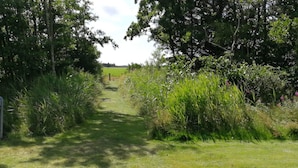 A narrow, grassy path flanked by dense vegetation and trees, leading to a distant field. - Tranquil Cottage With Spa and Sauna-by Traum (Hemmet)