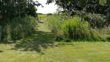 House | Property grounds