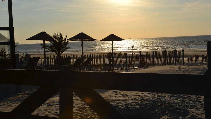 Nice Tent with Kitchen & Shower near Beach Campsite