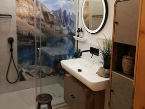 Shower, hair dryer, towels