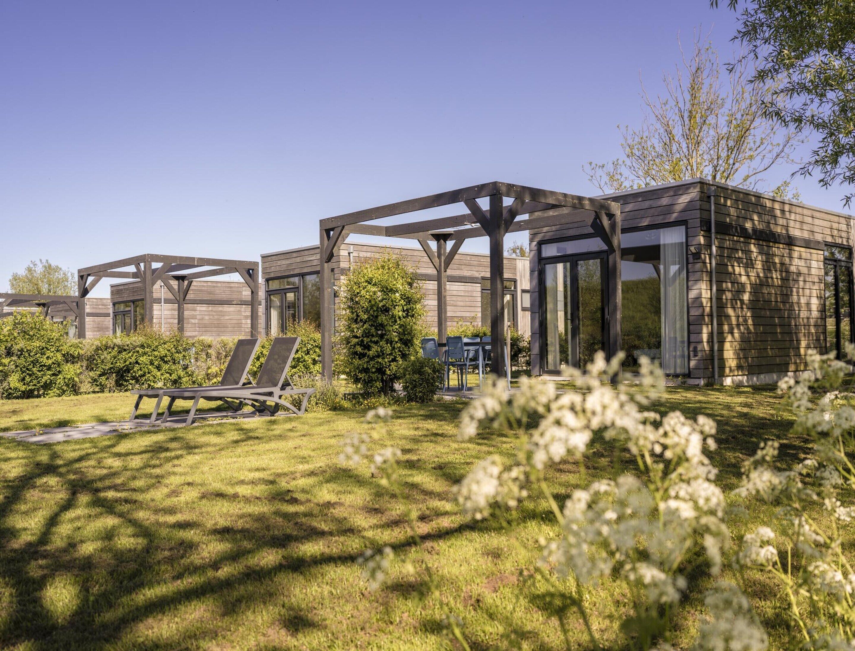 Un espace extérieur moderne, aménagé avec des pergolas en bois, une pelouse et un petit arbre.