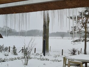 Casa | Vista dalla struttura