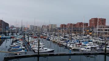 Vista desde la propiedad