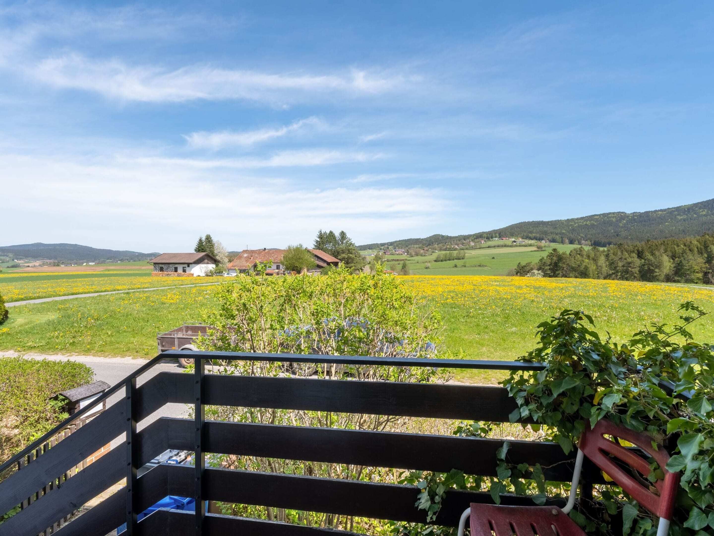 House | View from property