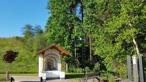 Uklassifisert bilde, 3 av 39, knapp