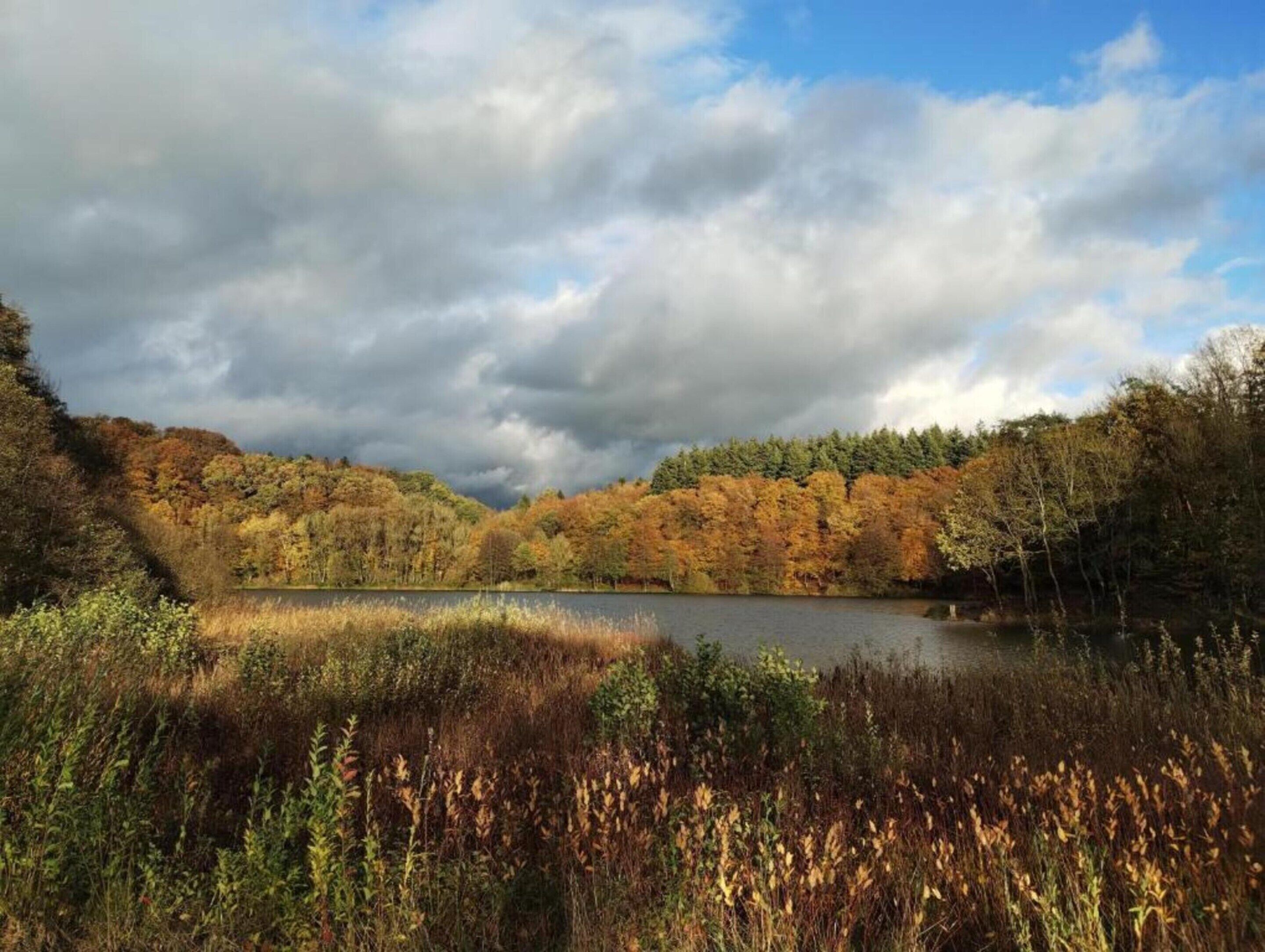 A serene lakeside landscape with autumn foliage and a cloudy sky.