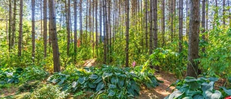 Mobile Unterkunft | Blick von der Unterkunft