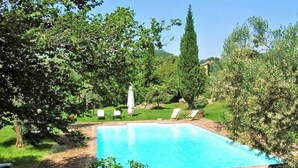 Una piscina rectangular con superficie azul cristalina, rodeada de abundante vegetación y algunas sillas de descanso.