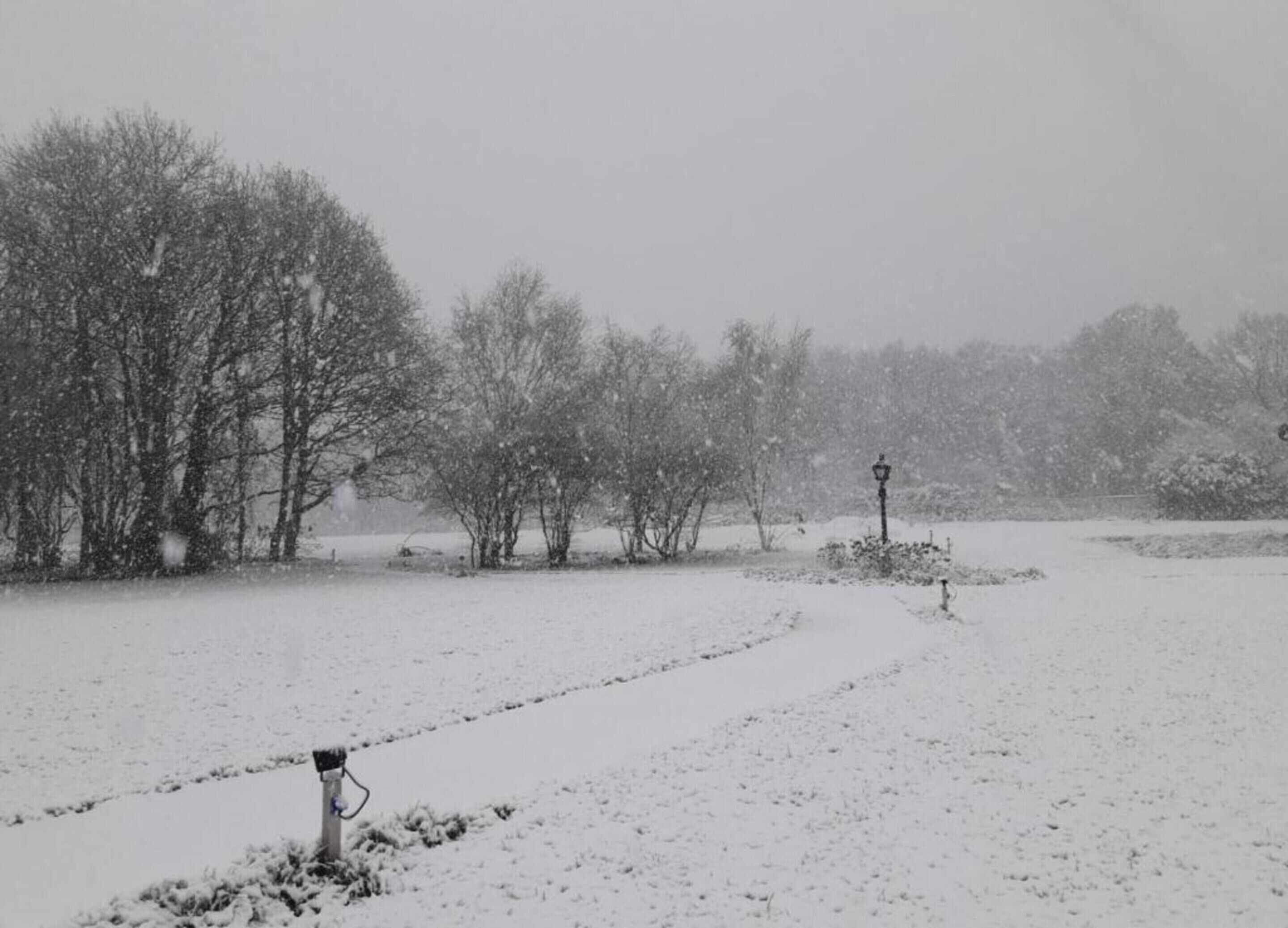 A snowy landscape with trees and a lamp post.