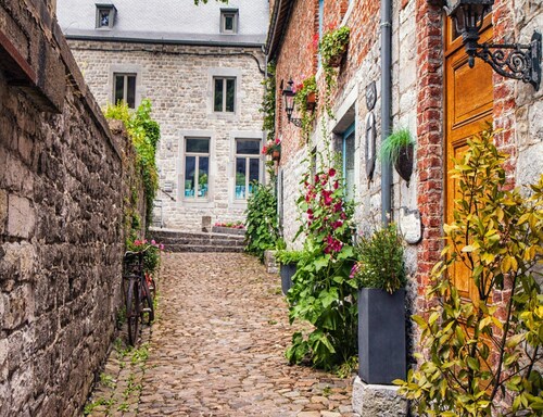 Completely Renovated House near Durbuy