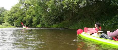 Two kayaks on a calm river surrounded by dense greenery.