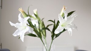 Speisen