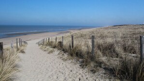 Exterior - Detached House Near the Beach (Noordwijkerhout)