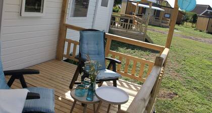 Chalet in Friesland Near Alde Feanen Park