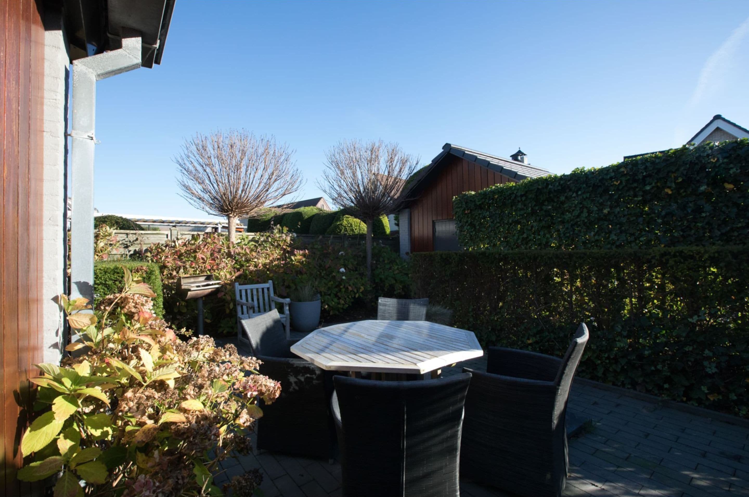 A patio with a round table and chairs, surrounded by plants and a hedge.