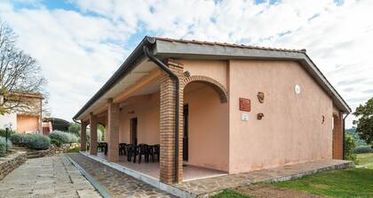 Alluring Holiday Home in Rispescia With Roofed Terrace