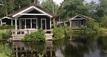 House on Water, Surrounded by Nature