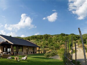 Villa | Exterior - Villa in Tuscany With Organic Wine Estate (Arezzo)