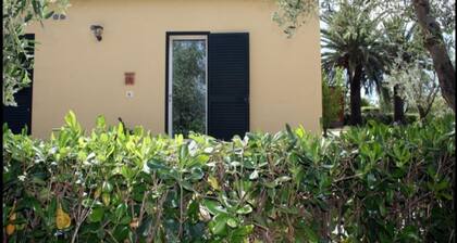 Inviting Holiday Home in Bibbona With Barbeque