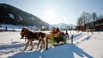 A horse-drawn sleigh on a snowy path with passengers.