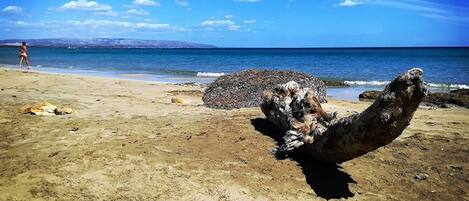Departamento | Vista desde la propiedad