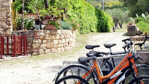 A stone wall with a metal gate, a paved path, and two bicycles parked against it. - Villa in Velia Near Roman Ruins and Beach (Ascea)