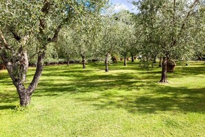 Apartment | View from property