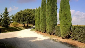 A gravel road flanked by tall, narrow trees and dense shrubbery. - Belvilla by OYO Selvatello Villino Trilo (Casole d'Elsa)