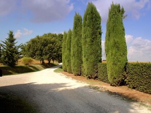 Villa | Exterior - Belvilla by OYO Selvatello Villino Trilo (Casole d'Elsa)