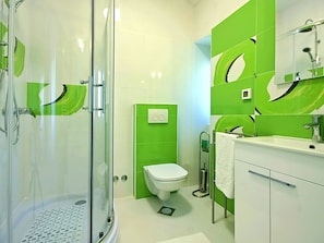 Shower, hair dryer, towels