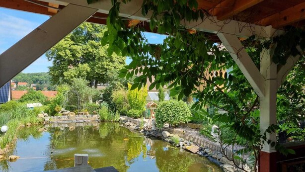 Een rustige tuin met een vijver, een houten terras en weelderige begroeiing.