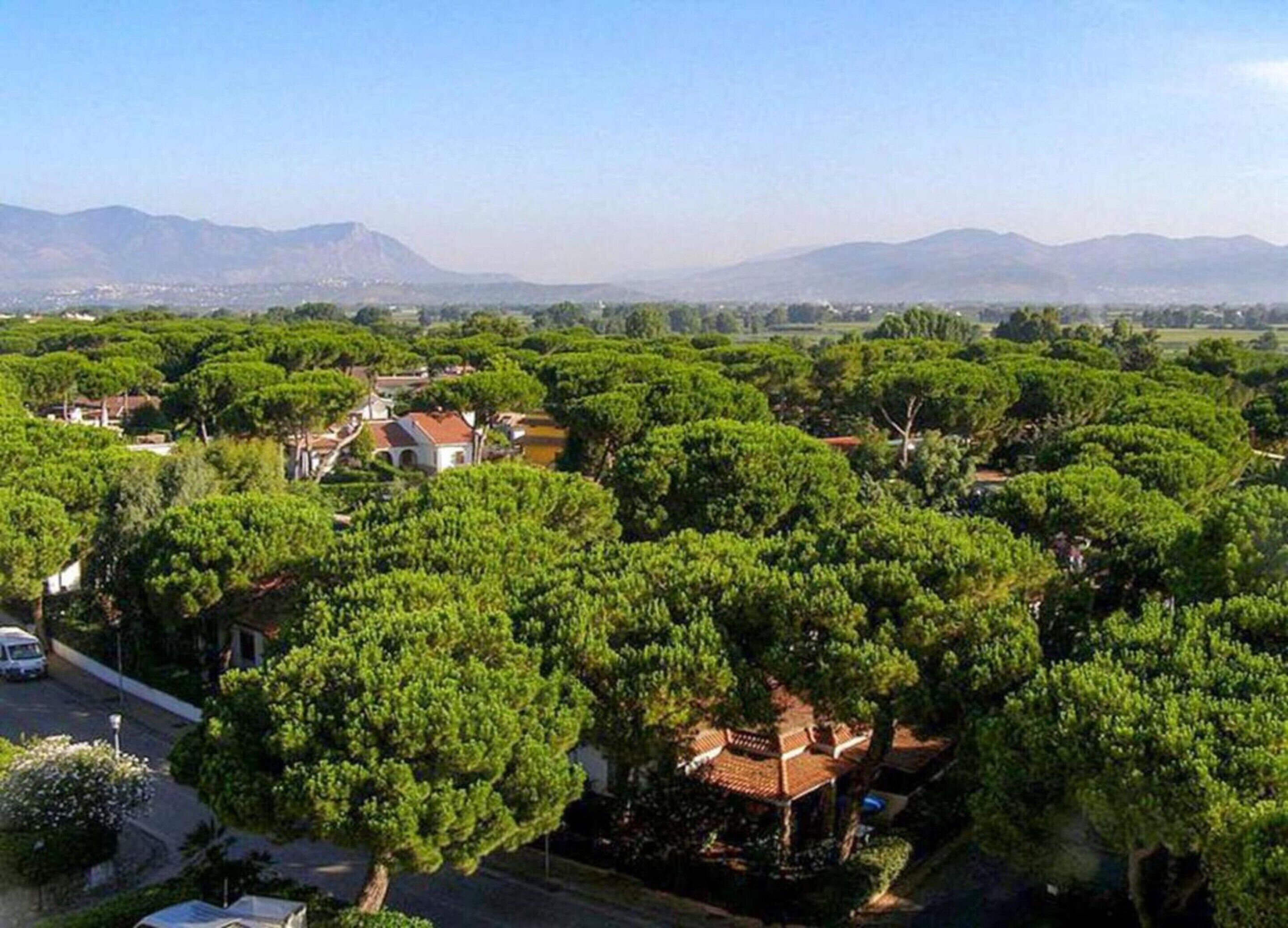 A residential area with houses surrounded by dense greenery and mountains in the background.