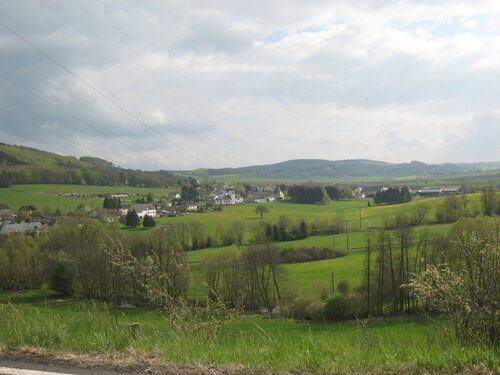 Tranquil Apartment in Falkenstein With Balcony