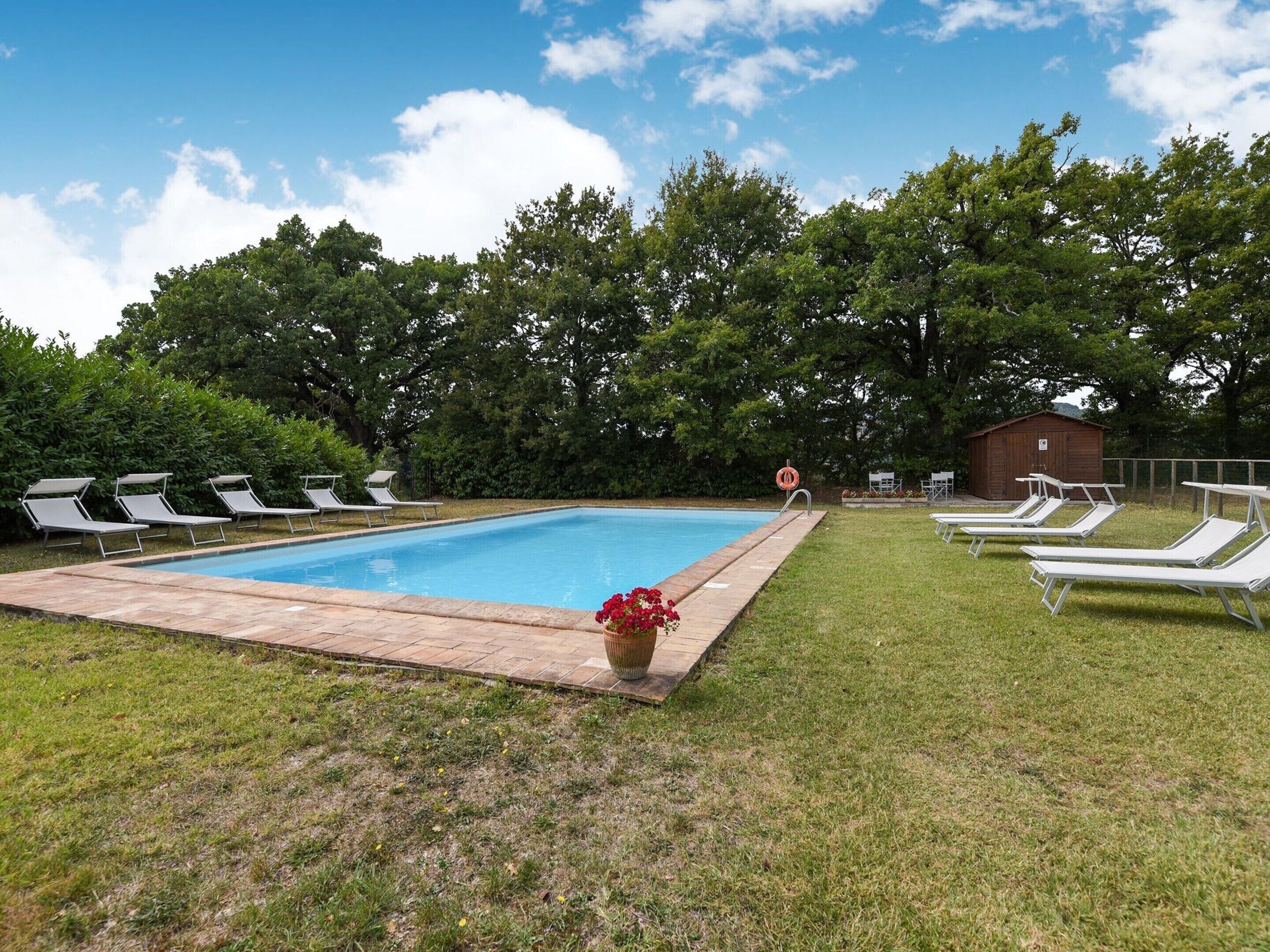A swimming pool with lounge chairs and a lifebuoy, surrounded by grass and trees.