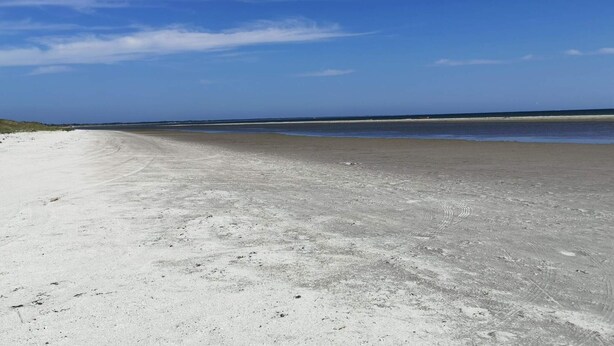 A wide sandy beach with a clear sky. - Holiday Home in Jerup (Jerup)