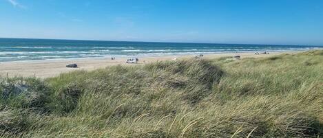 A beach with dunes and ocean in the background.