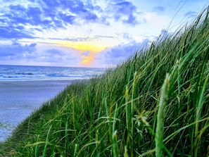 A beach with grass in the foreground and the ocean in the background. - Holiday Home in Nørre Nebel (Norre Nebel)