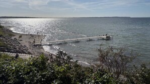 A coastal scene with a pier extending into the water, a sandy beach, and a line of trees in the foreground.