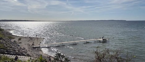 Paisaje costero con un muelle que se adentra en el agua, una playa arenosa y una fila de árboles en primer plano.